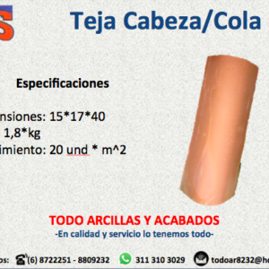 Teja Cabeza Cola